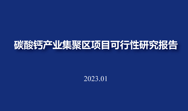 碳酸钙产业集聚区项目可行性研究报告