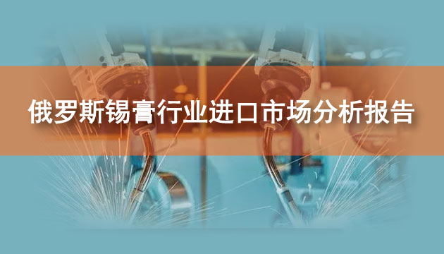 俄罗斯锡膏行业进口市场分析报告(2024)